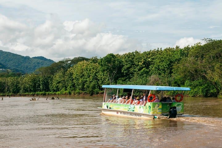 Adventure in the jungle river and crocodiles