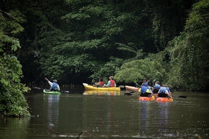 Tortuguero National Park Canals Kayaking Tour