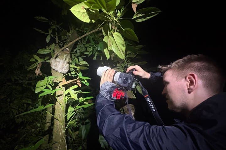Night Adventure in the Tortuguero Tropical Forest