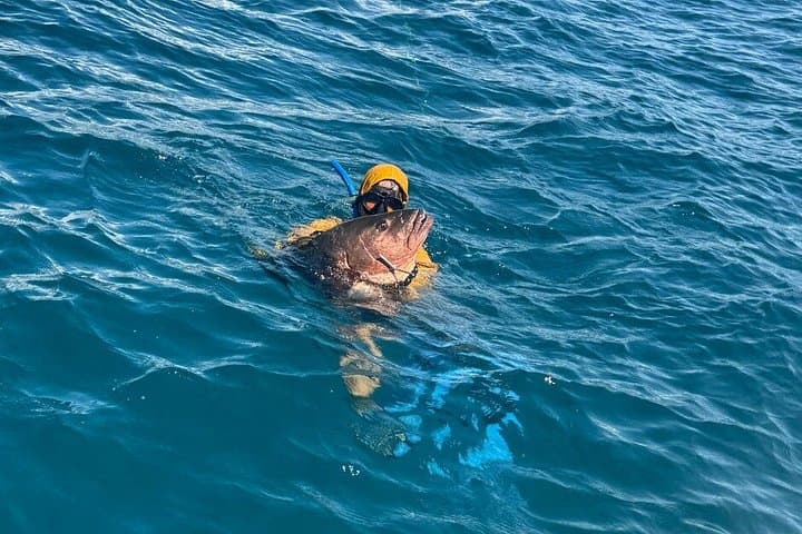 Half day Private Reef Spearfishing in Manuel Antonio