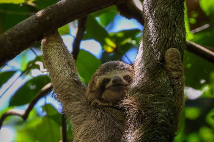 Manuel Antonio National Park Guide Hiking and Wildlife Experience