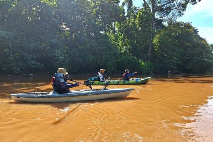 Mangrove Kayak - near Sámara & Carrillo Beach — book in Costa Rica