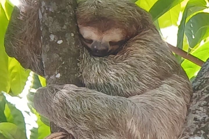 Manuel Antonio National Park Guided Tour With Ticket Option