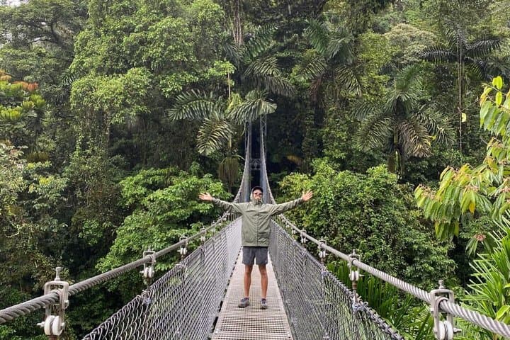 Arenal volcano, hanging bridges and sloth encounter tour.