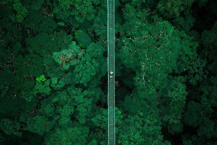 4 in 1 Monteverde Cloud Forest Private combo tour