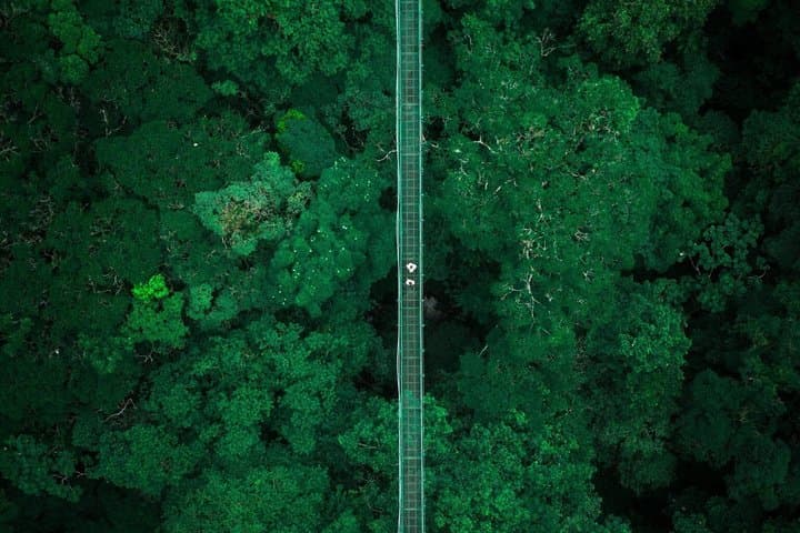 4 in 1 Monteverde Cloud Forest Private combo tour