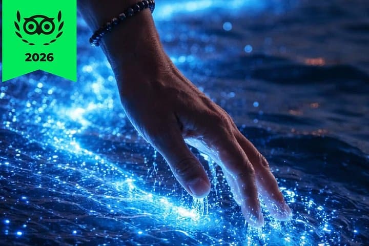 Bioluminescence Cocos Tours