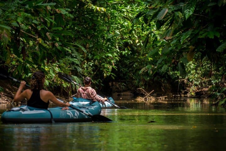 Private Sloth and Kayak Tour in Punta Uva