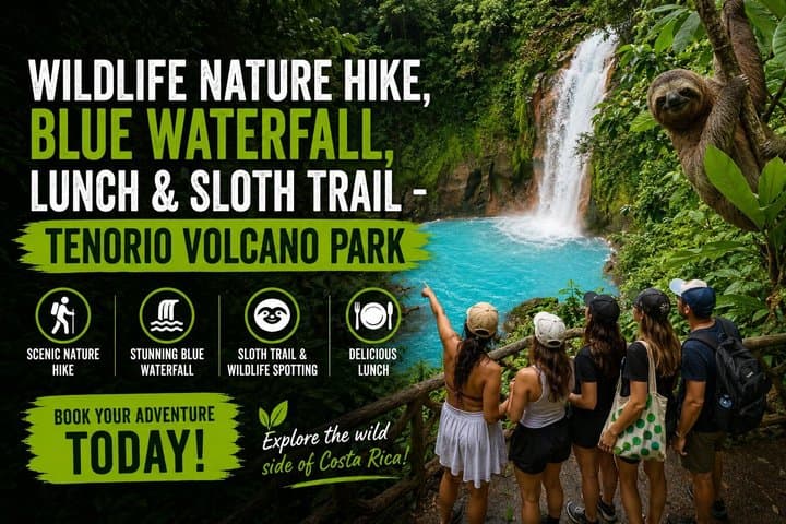 Wildlife Nature Hike, Blue Waterfall, Lunch & Sloth Trail - Tenorio Volcano Park