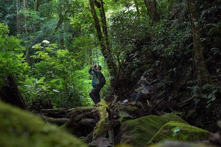Monteverde Cloud Forest Tour from San Jose