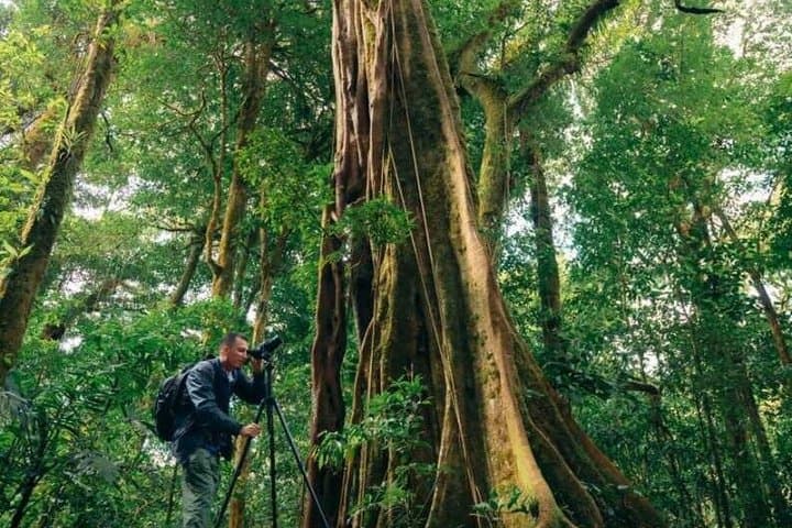 Curicancha Monteverde Nature Walk