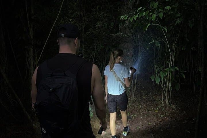 Night Tour at Bijagua Hidden Gems
