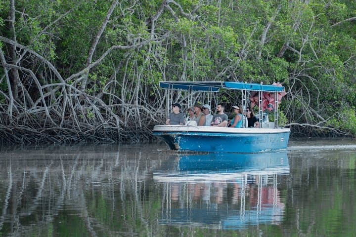 Safari the mangroves and fauna of the Tamarindo National Park