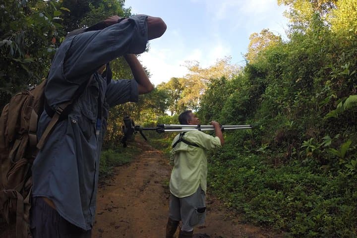 The Early Birds — book in Costa Rica