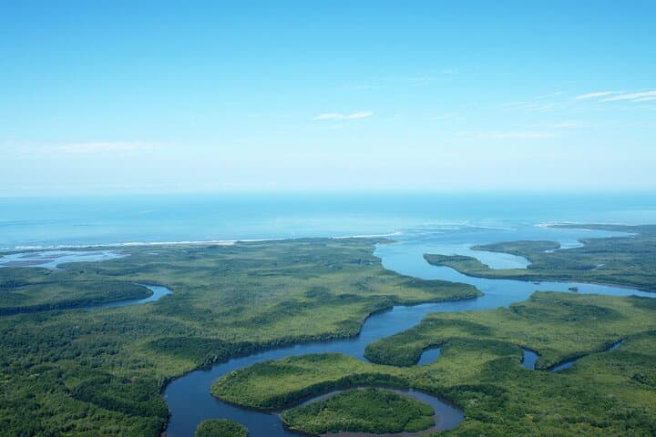 One Day Tour To Térraba-Sierpe Mangrove By Boat From Sierpe — book in Costa Rica
