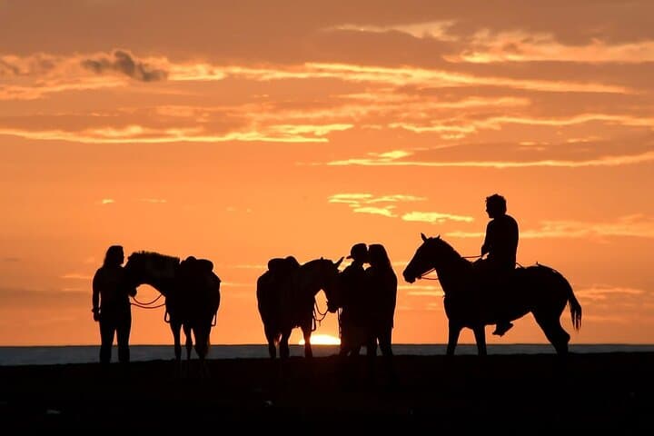 Horseback Riding in Puerto Carrillo: Beach & Jungle — book in Costa Rica