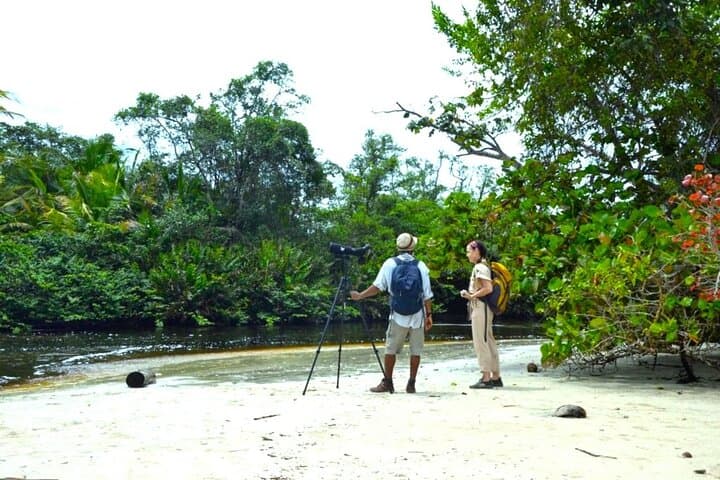 Cahuita National Park Guided Hike by Native Naturalistic Guide — book in Costa Rica