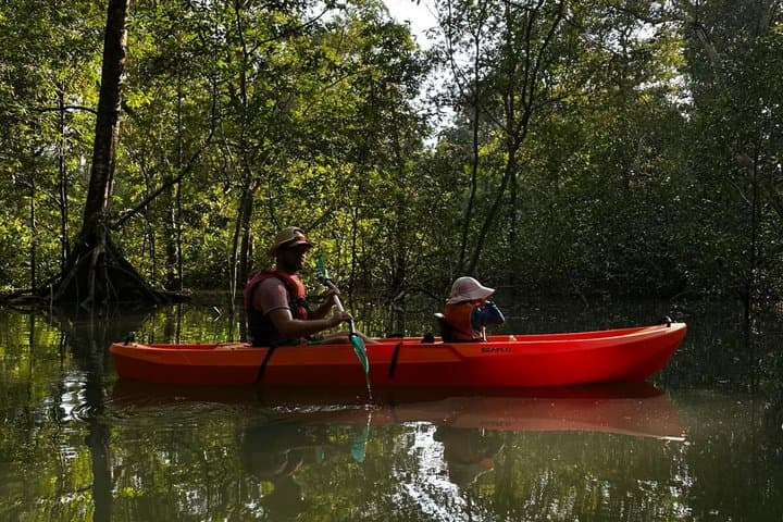 Kayak experience on Playa Blanca in Puerto Jiménez — book in Costa Rica
